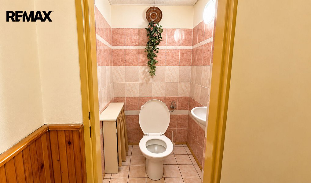 Prodej domu 170 m² s pozemkem 1 659 m², Halže – náhled fotky 21