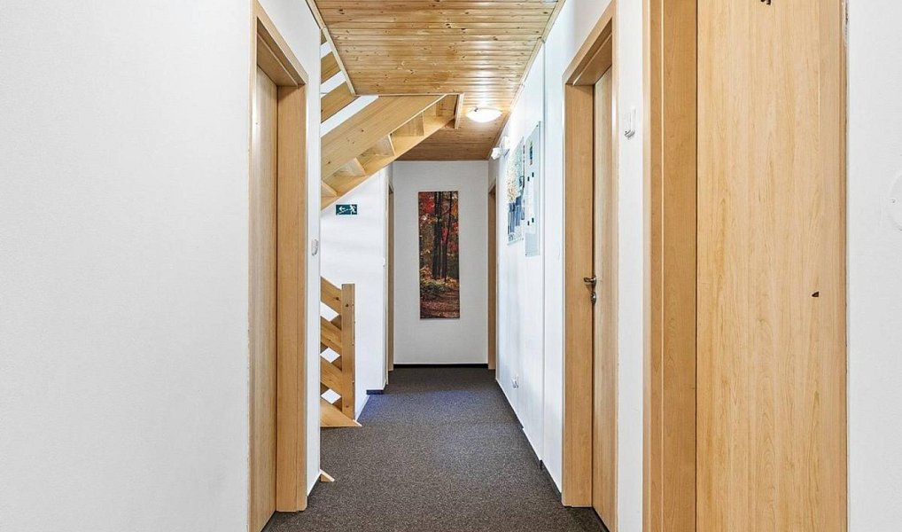 Prodej bytu 1+kk 26 m², Kubova Huť – náhled fotky 15