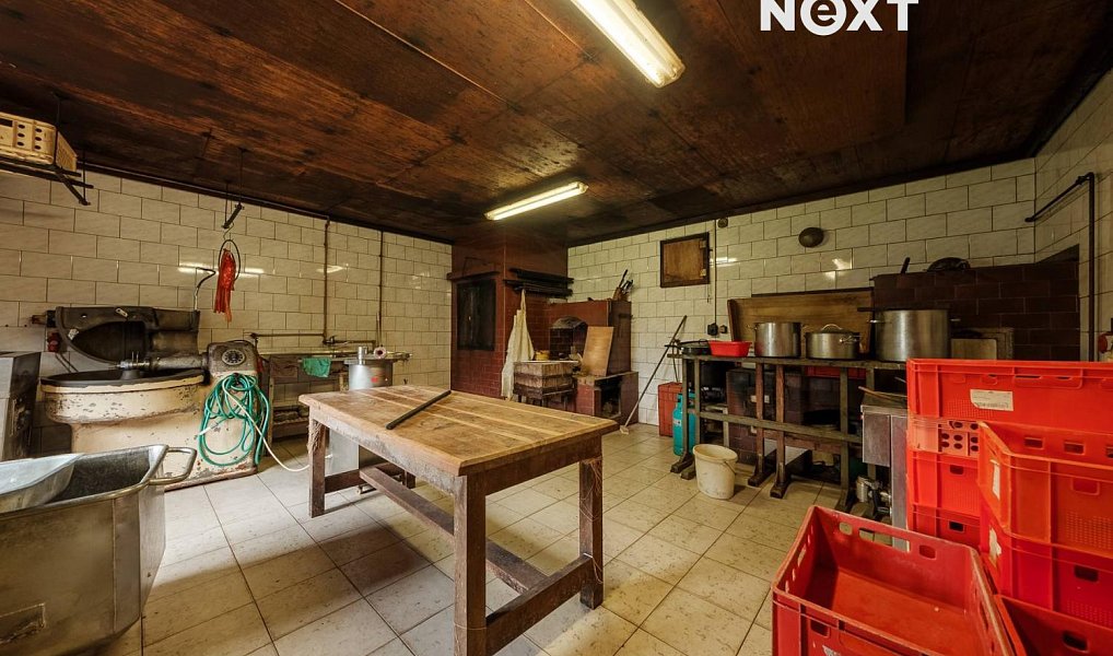 Prodej domu 380 m² s pozemkem 3 150 m², Čestín – náhled fotky 16