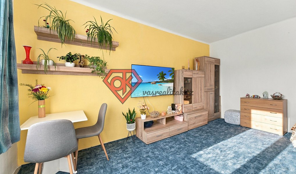Prodej bytu 2+1 53 m², Česká Třebová – náhled fotky 7