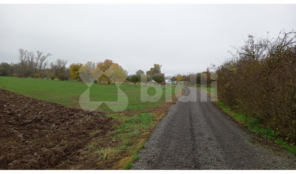 Prodej pole 3 241 m², Rajhrad – náhled fotky 3