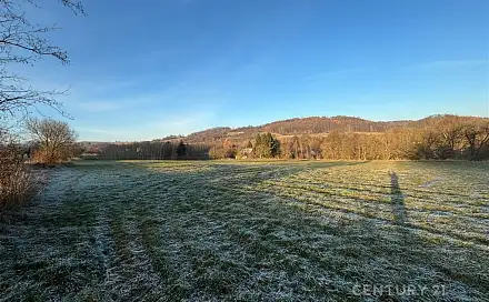 Prodej komerčního pozemku 20 188 m², Velká Bukovina, okres Děčín