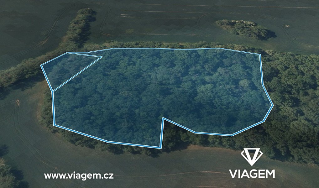 Prodej lesa 13 707 m², Vysoký Újezd – náhled fotky 2