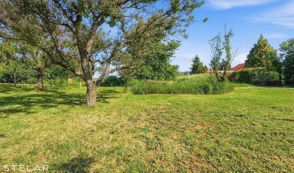 Prodej domu 240 m² s pozemkem 663 m², Rajhrad – náhled fotky 2