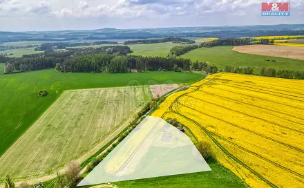 Prodej pole 6 672 m², Ostrov u Bezdružic - Pláň, okres Plzeň-sever