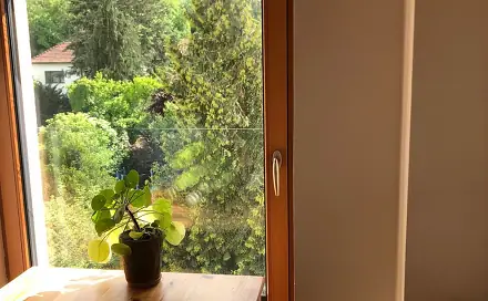 Pronájem bytu atypického 64 m², Elišky Machové, Brno - Žabovřesky