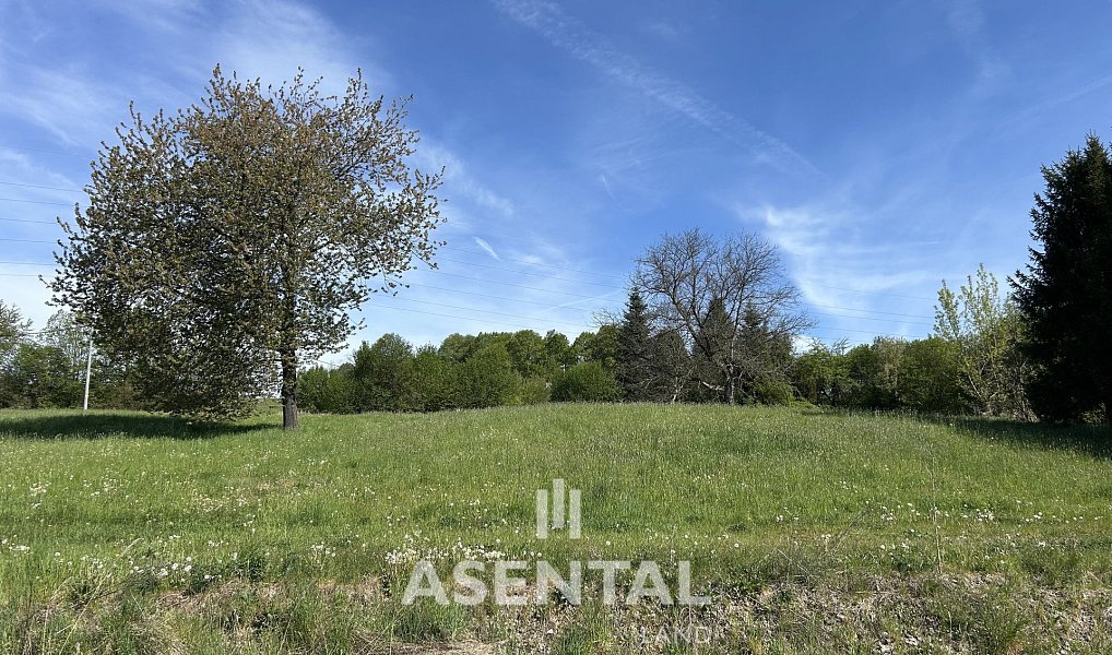 Prodej stavebního pozemku 2 355 m², Doubrava – náhled fotky 2