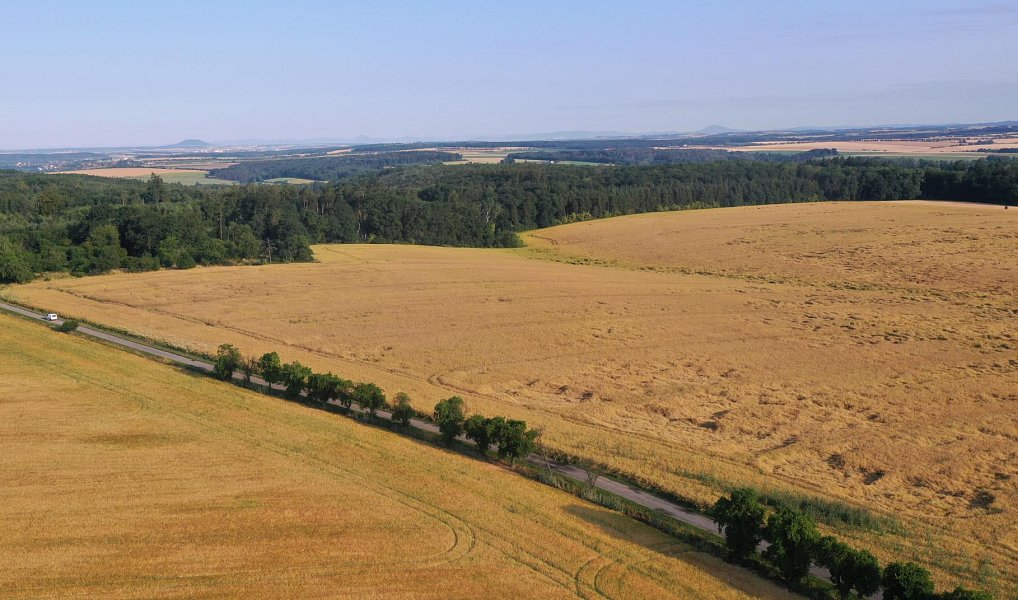 Prodej pole 10 325 m², Horní Slivno – náhled fotky 3