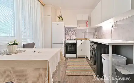 Pronájem bytu 1+1 41 m²