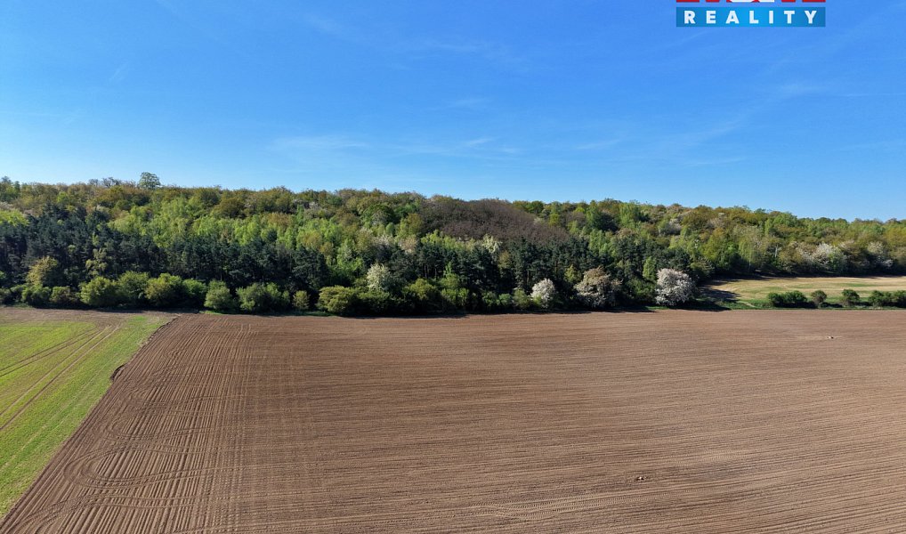 Prodej lesa 5 857 m², Kounice – náhled fotky 5