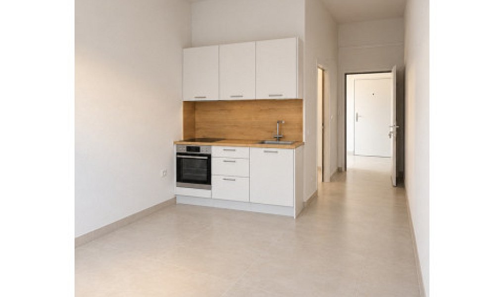 Prodej bytu 1+kk 19 m², Vodňany – náhled fotky 4