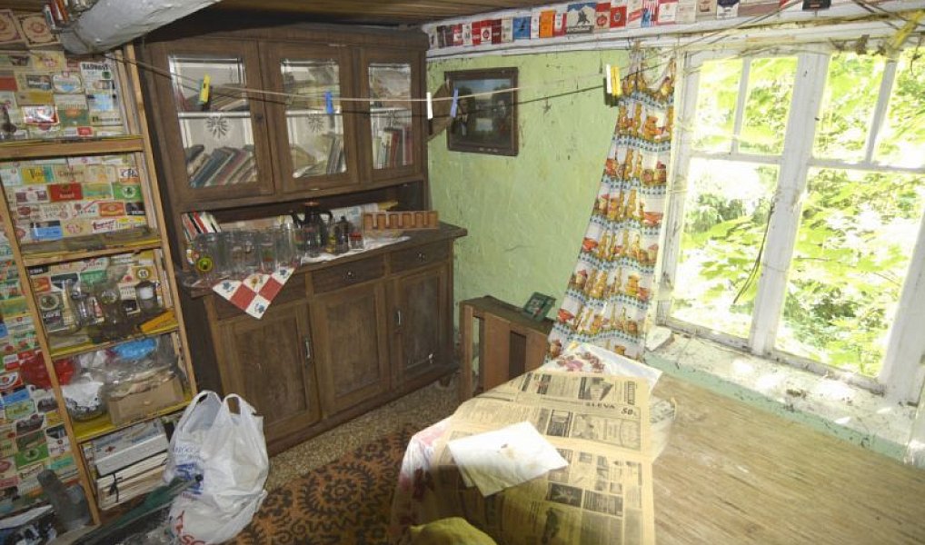 Prodej chaty/chalupy 120 m² s pozemkem 4 183 m², Horní Brusnice – náhled fotky 15