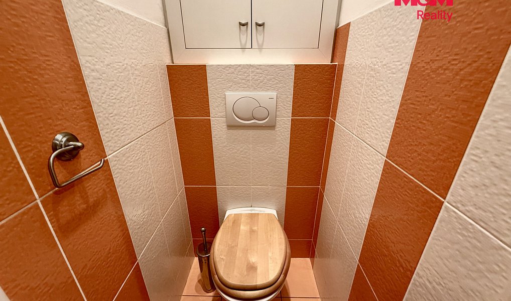 Pronájem bytu 2+1 53 m², Praha – náhled fotky 15