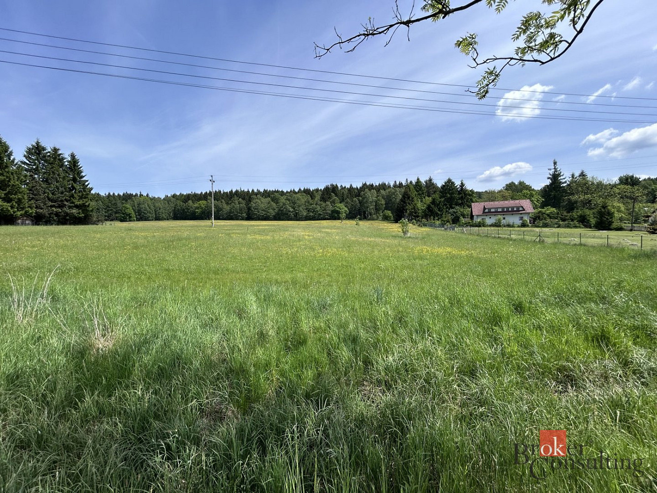 Prodej louky 8 717 m²