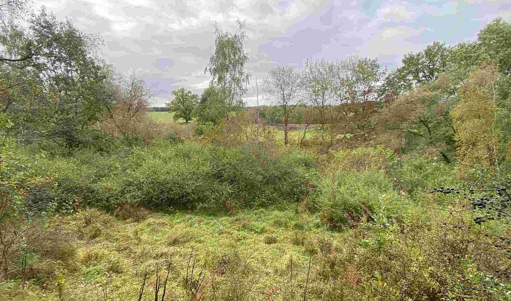 Prodej pozemku 10 042 m², Horní Dvořiště – náhled fotky 3
