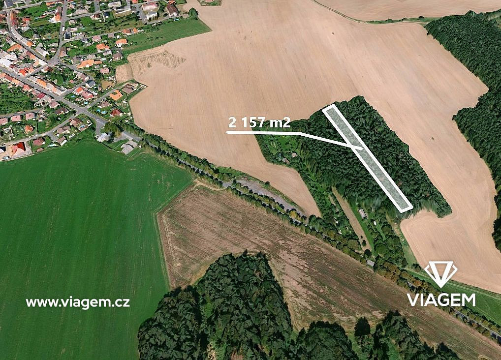 Prodej lesa 427 m²