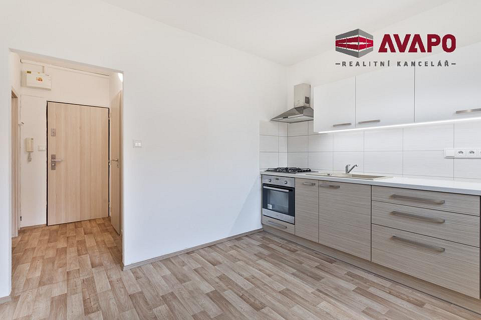 Pronájem bytu 1+1 35 m² – fotografie 4