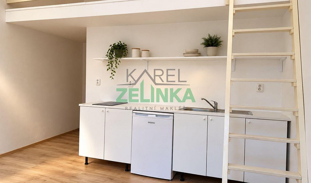 Pronájem bytu 1+kk 20 m², Praha – náhled fotky 3