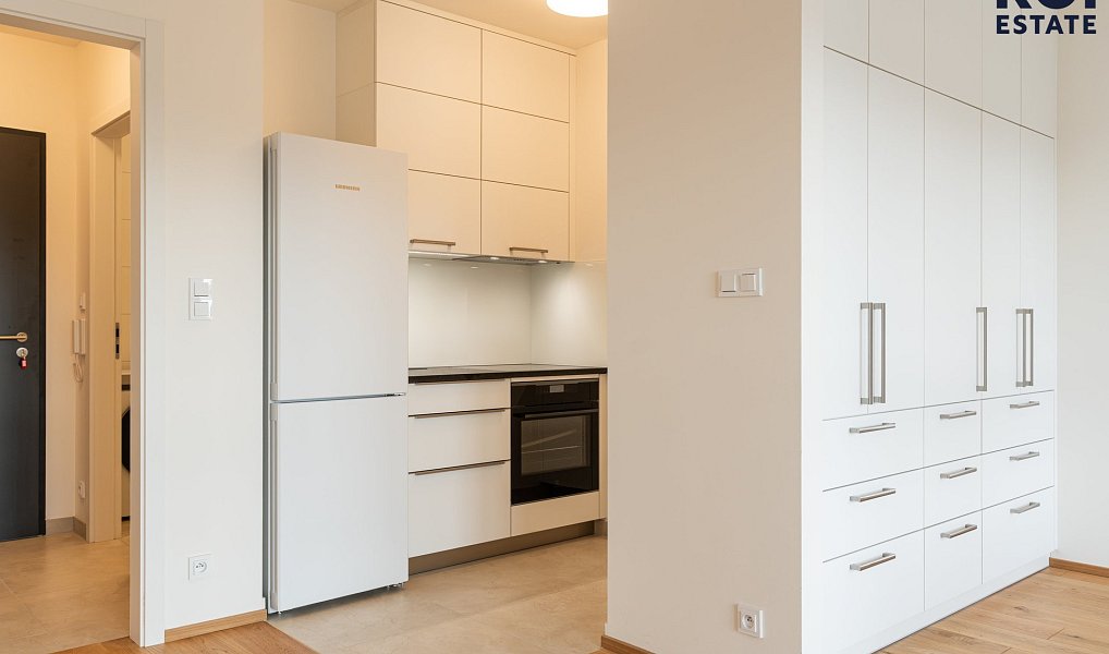 Pronájem bytu 1+kk 36 m², Kralupy nad Vltavou – náhled fotky 4