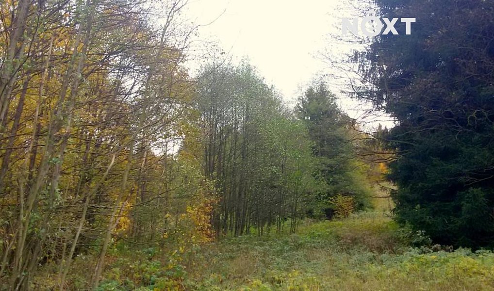 Prodej pozemku 625 m², Líšný – náhled fotky 8