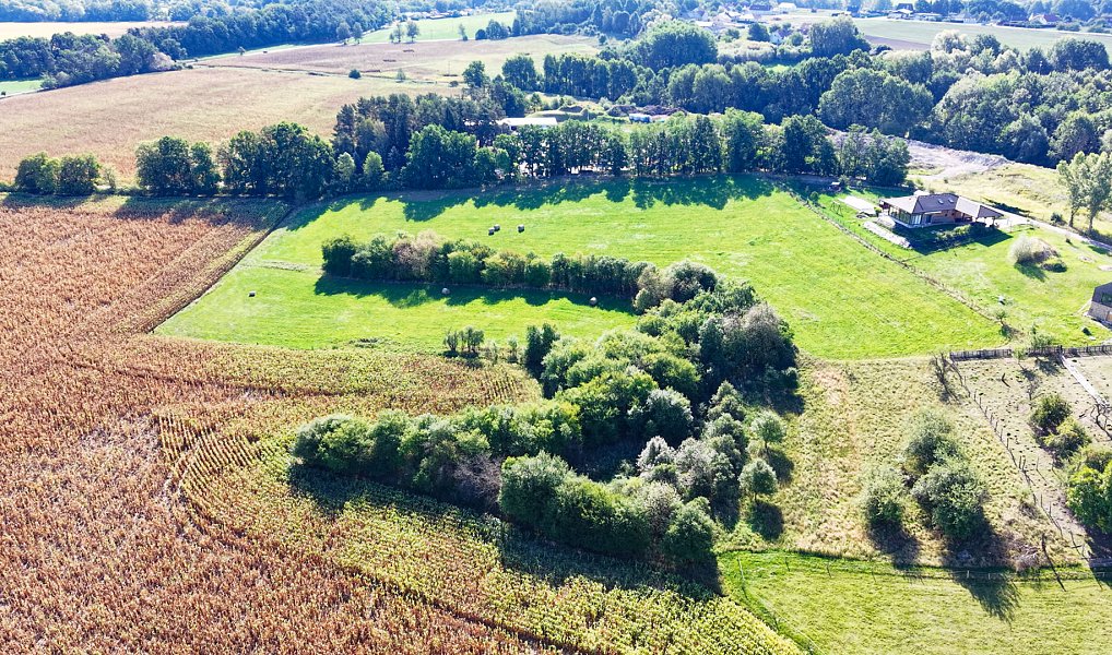Prodej stavebního pozemku 3 825 m², Albrechtice nad Orlicí – náhled fotky 11