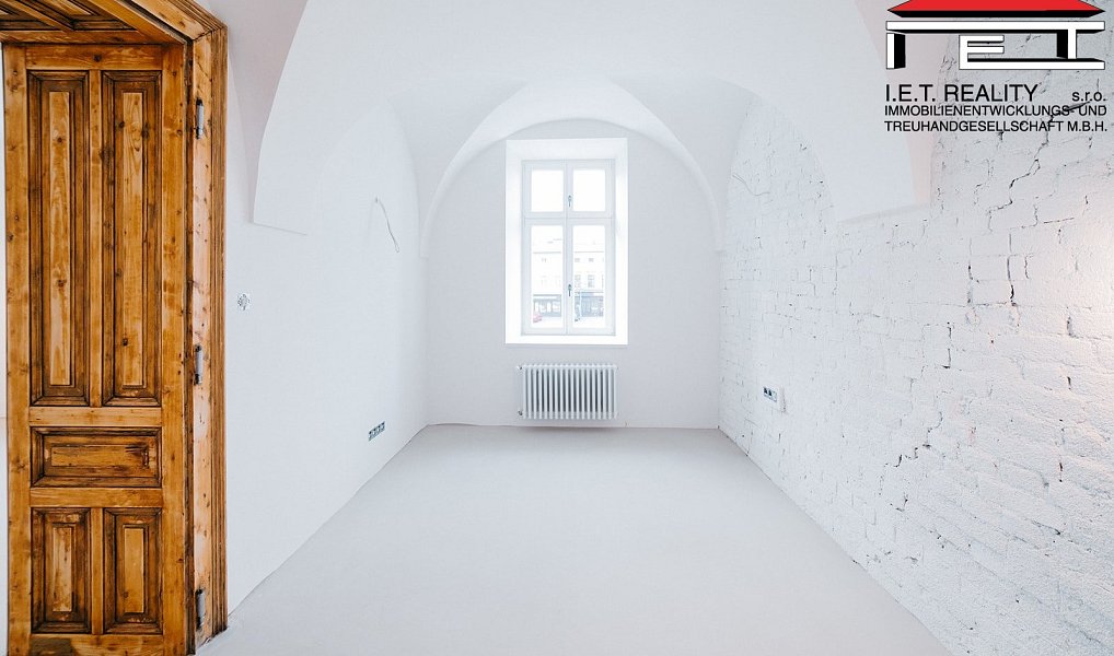 Prodej bytu atypického 405 m², Frýdek-Místek – náhled fotky 11