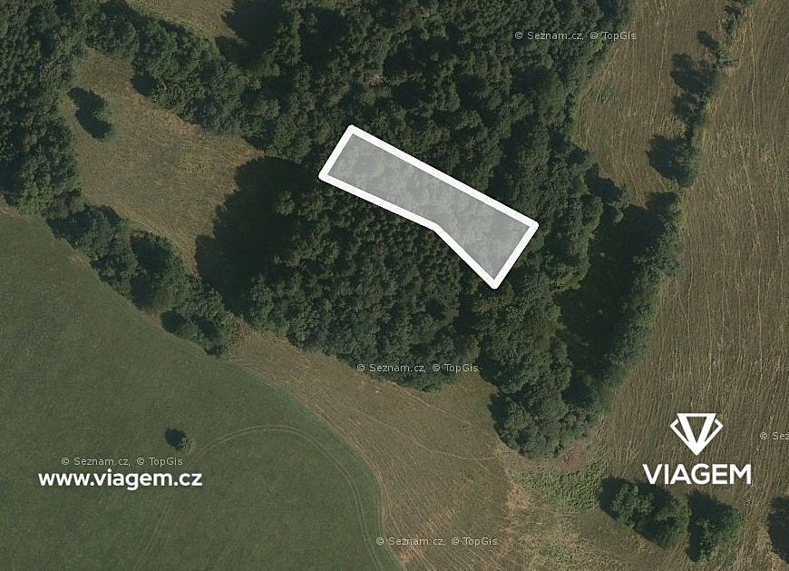 Prodej lesa 662 m² – fotografie 2