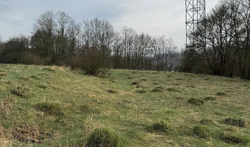 Prodej pozemku 3 678 m², Sloup – náhled fotky 2