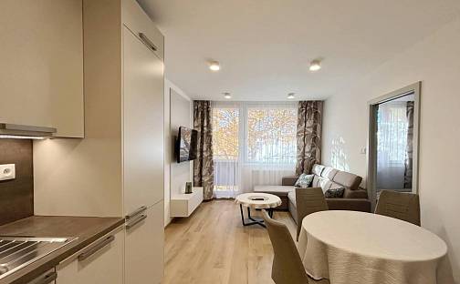 Pronájem bytu 2+kk 46 m², Brdlíkova, Praha 5 - Motol