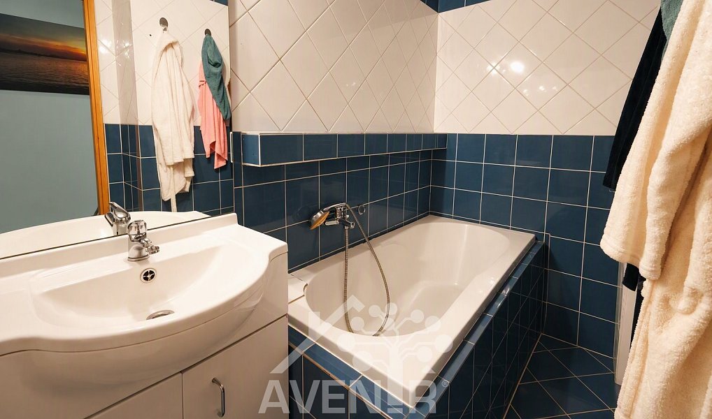 Pronájem bytu 2+1 54 m², Liberec – náhled fotky 9