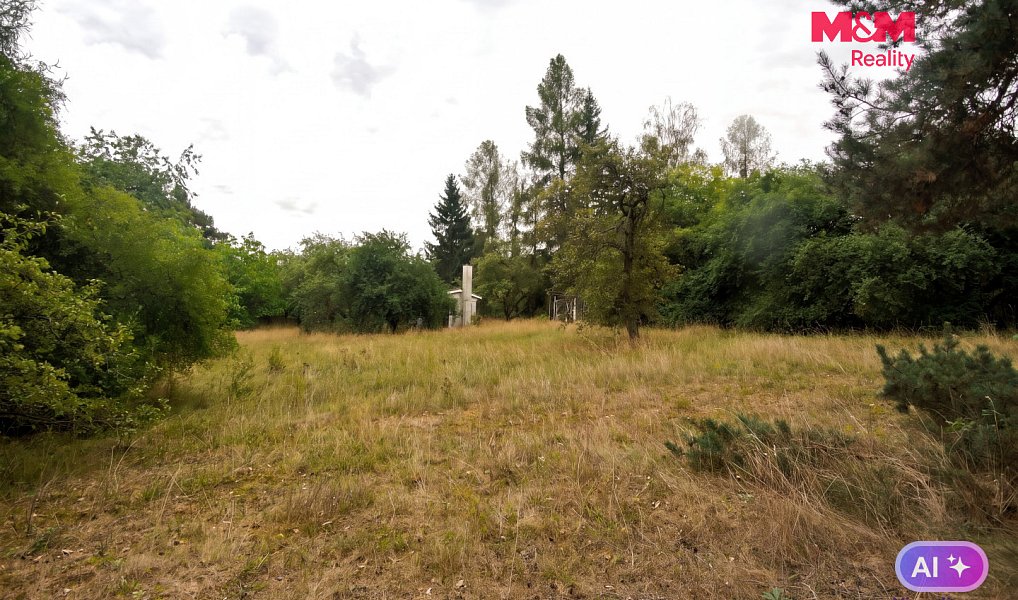 Prodej stavebního pozemku 2 828 m², Družec – náhled fotky 3