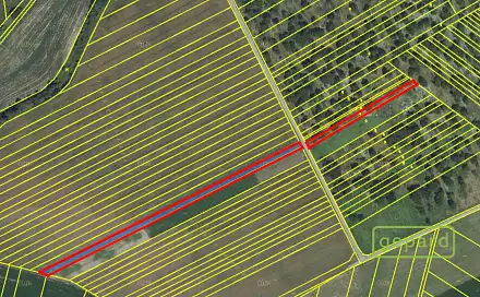 Prodej pole 3 050 m², Němčičky, okres Břeclav