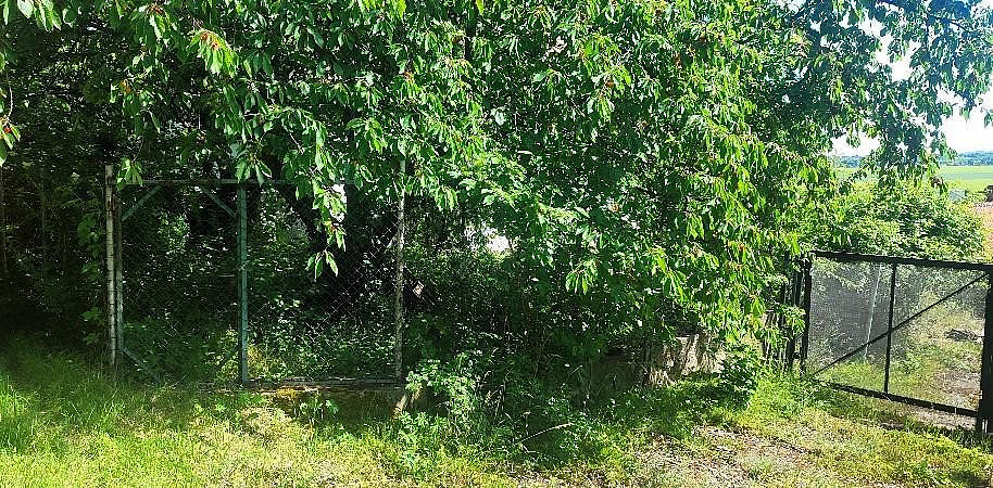 Fotka 13 z 14