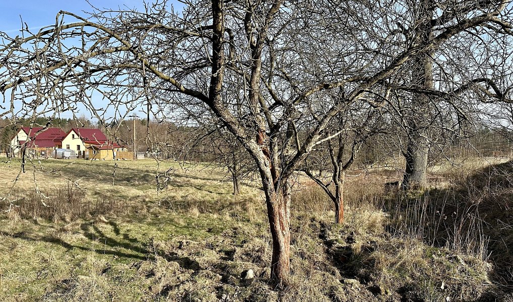 Prodej domu 173 m² s pozemkem 8 675 m², Staré Křečany – náhled fotky 18