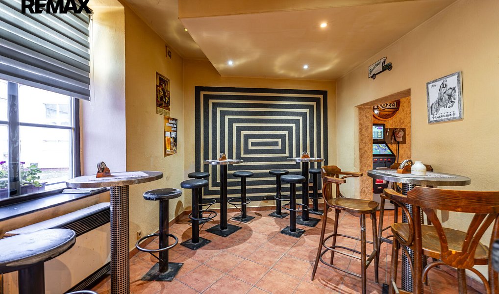 Prodej obchodních prostor 1 123 m², Jindřichův Hradec – náhled fotky 9