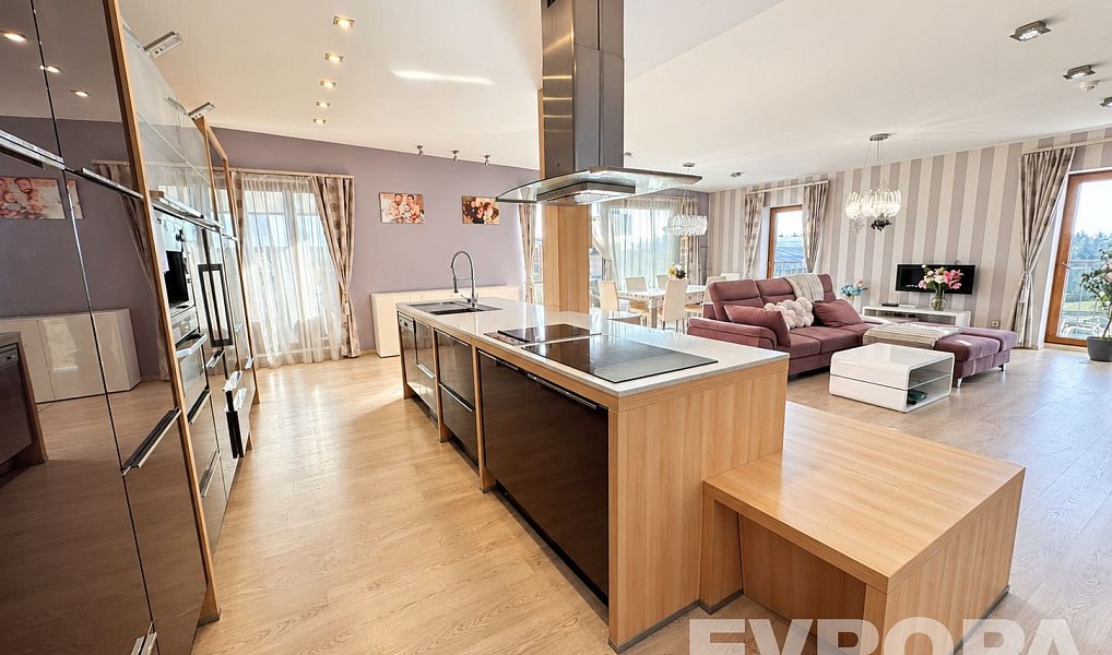 Pronájem bytu 3+kk, 153 m², Jižní Předměstí - Plzeň-město, Plzeň