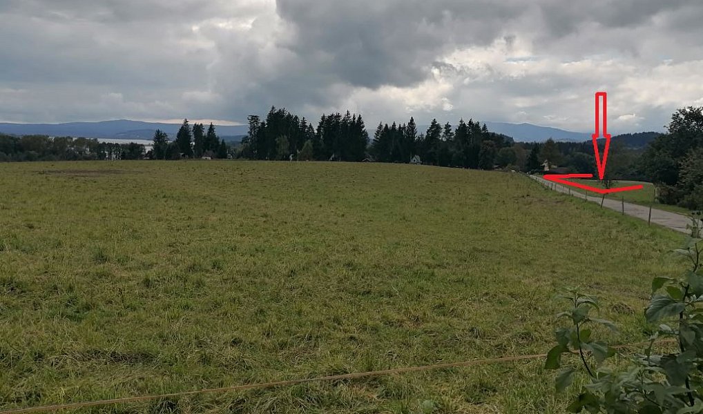 Prodej louky 35 936 m², Černá v Pošumaví – náhled fotky 5