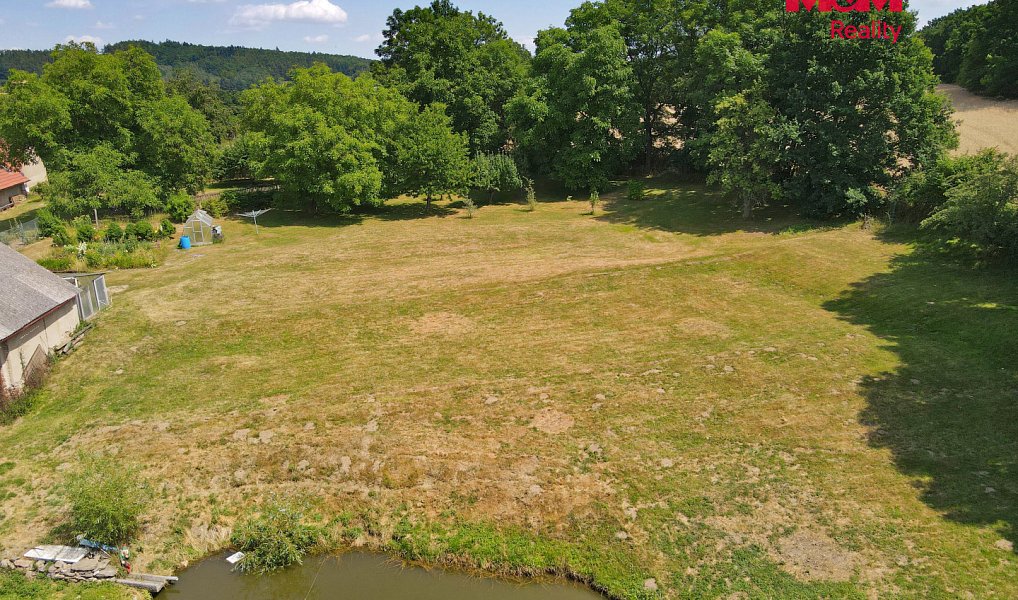 Prodej stavebního pozemku 2 996 m², Sedlec-Prčice – náhled fotky 2
