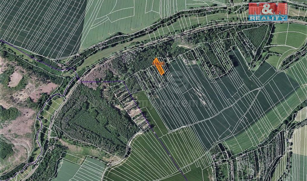 Prodej lesa 1 133 m², Trhový Štěpánov – náhled fotky 3