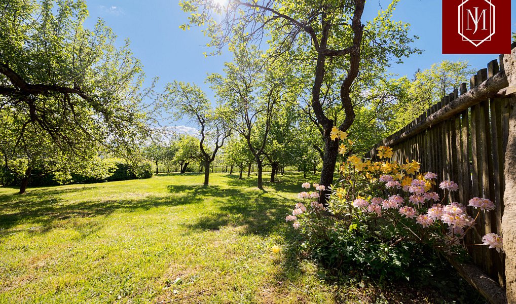 Prodej chaty/chalupy 269 m² s pozemkem 2 309 m², Knínice – náhled fotky 9