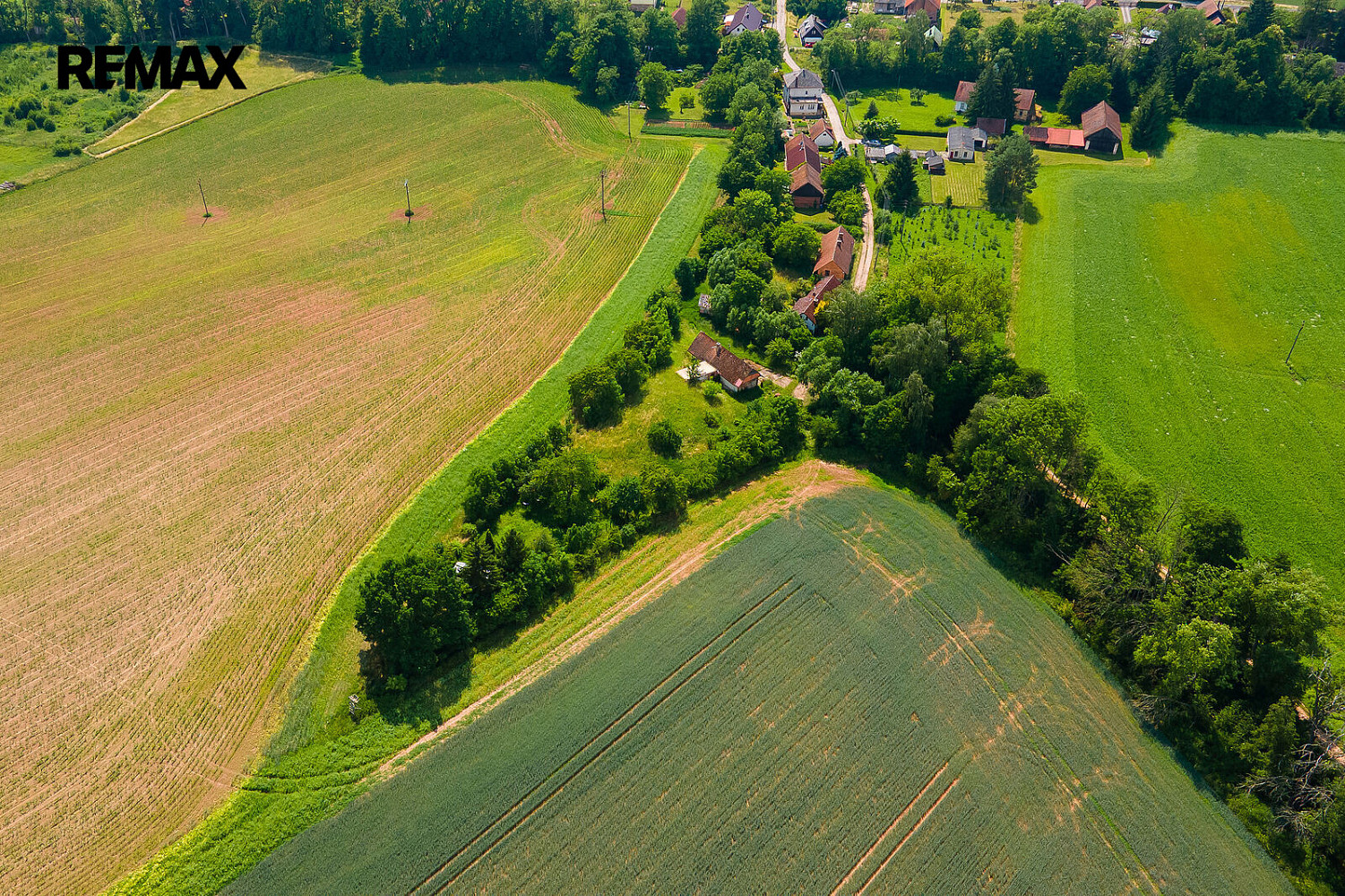 Fotka 12 z 15