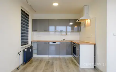 Pronájem bytu 3+kk 68 m², Brněnská, Most