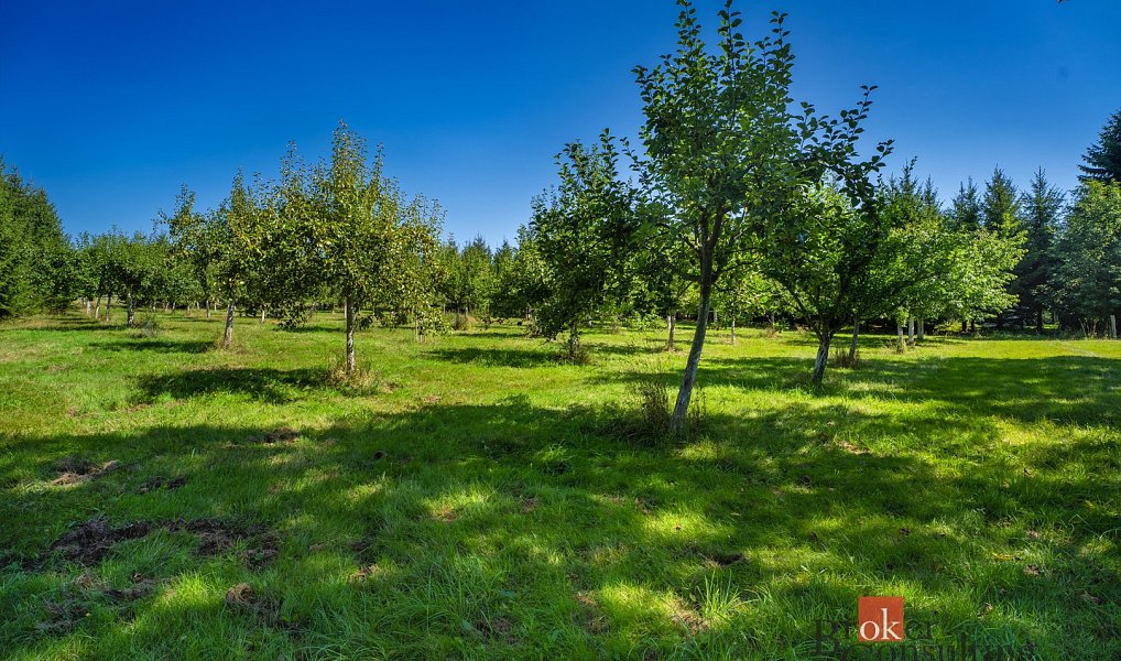 Prodej stavebního pozemku 12 049 m², Varnsdorf – náhled fotky 3