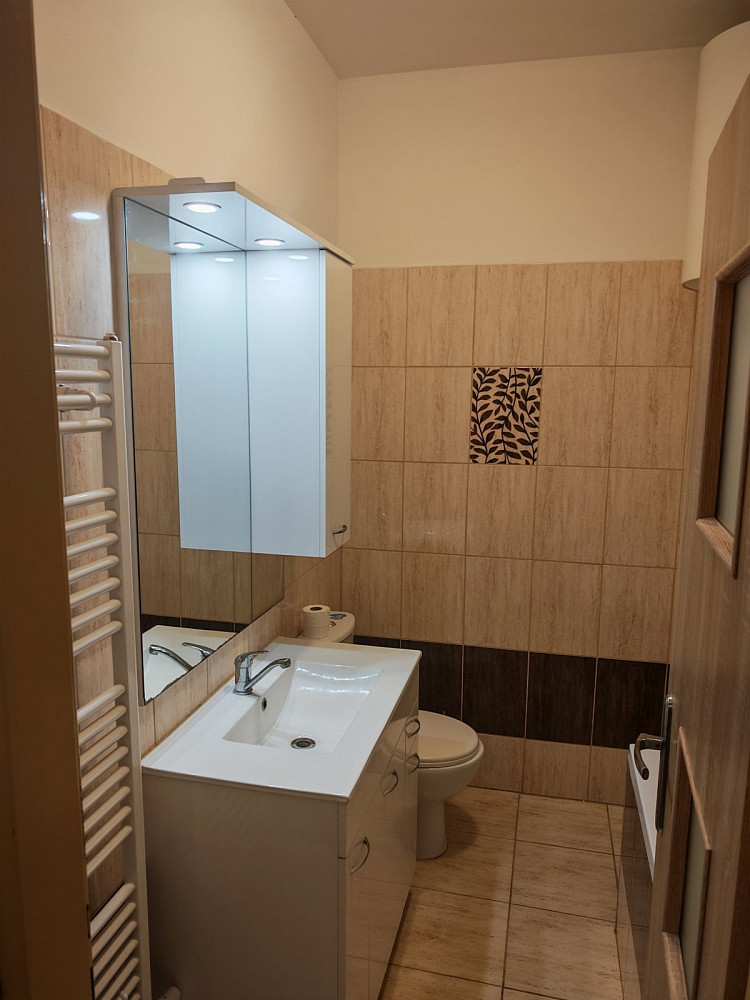 Pronájem bytu 1+1 38 m²
