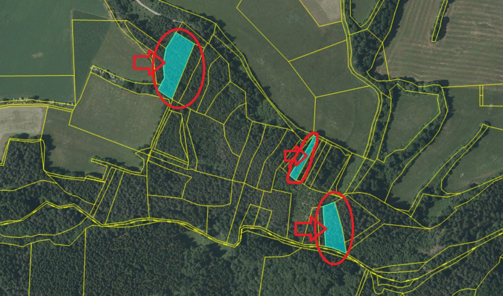 Prodej lesa 6 930 m², Drnovice – náhled fotky 6