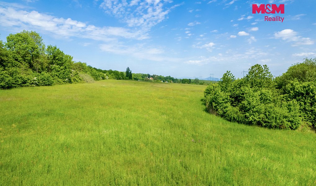 Prodej louky 73 237 m², Kozly – náhled fotky 6