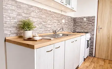 Pronájem bytu 3+1 60 m²