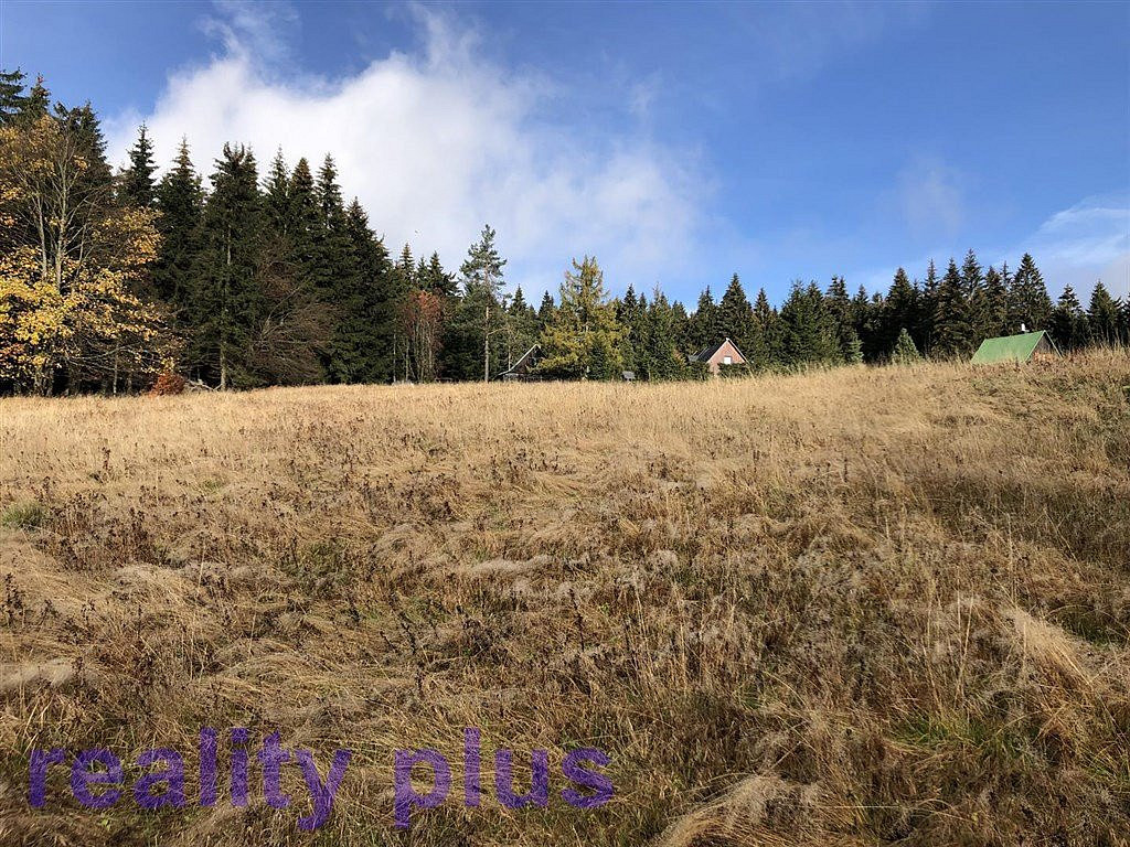 Prodej louky 6 251 m² – fotografie 3