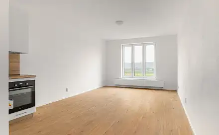 Pronájem bytu 2+kk 51 m², Rybářská, Plzeň - Jižní Předměstí