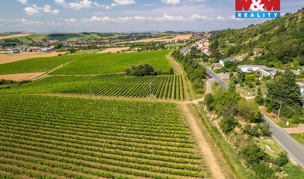 Prodej stavebního pozemku 2 331 m², Viničné Šumice – náhled fotky 14